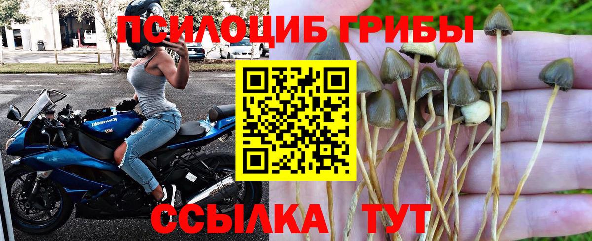 Псилоцибиновые грибы MAGIC MUSHROOMS Химки