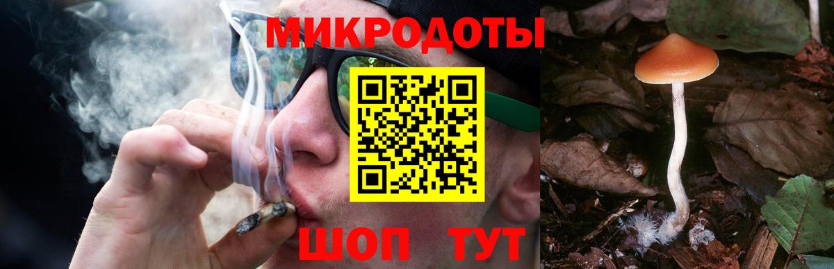 Псилоцибиновые грибы Cubensis  Вход с VPN  купить наркоту  Химки 